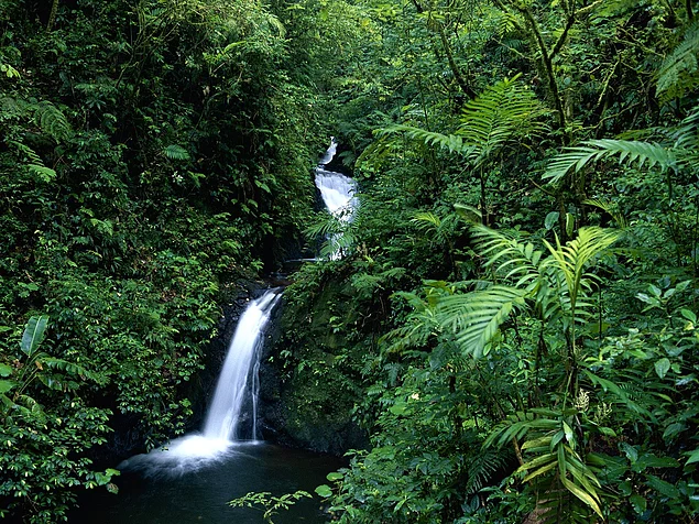 Kosta Rika'yı Dünyanın En Muhteşem Ülkelerinden Biri Yapan 10 Şey