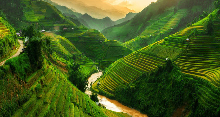 vietnam gezilecek yerler