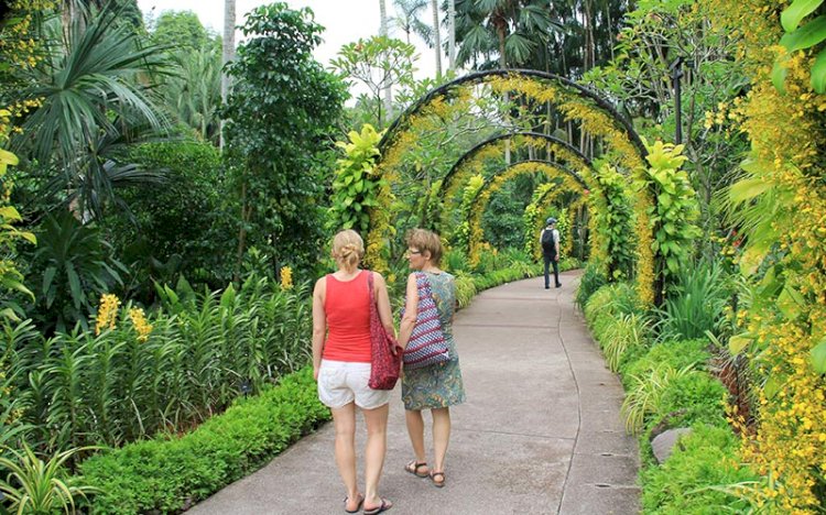 Singapur Ulusal Orkide Bahçesi