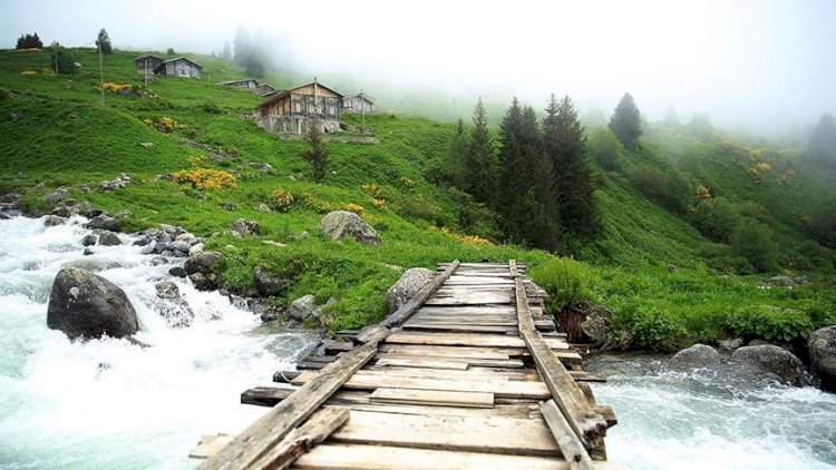 Trabzon’da Gidebileceğiniz En Güzel Yaylalar
