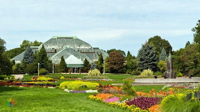 Şikago gezilecek yerler Garfield Park Conservatory
