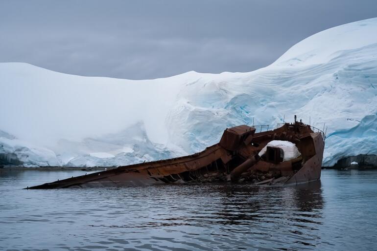 Gezginler ikiye ayrılır: Antarktika’ya ayak basanlar ve basmayanlar