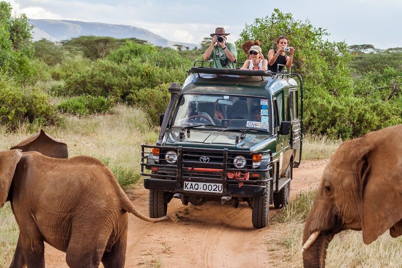 Safari Nedir Nasıl Yapılır