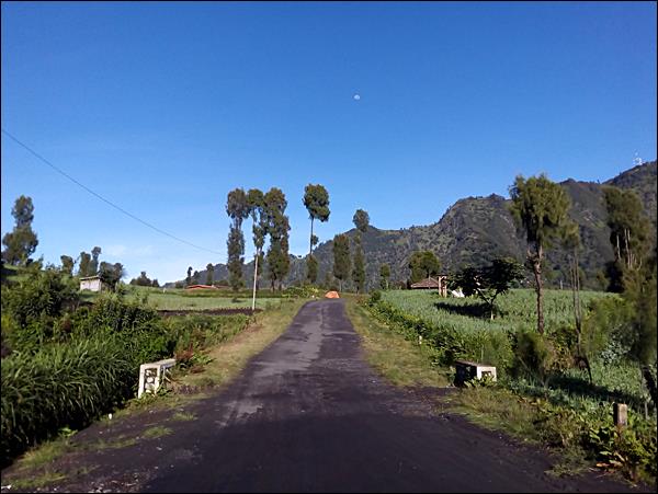 Seruni Gözlem Noktası Yolu, Bromo - Endonezya