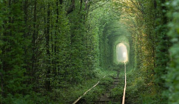 Ukrayna’nın “Aşıklar Tüneli”nde yaz, kış ve sonbahar başkadır”(Foto)